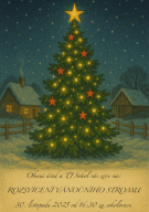 Rozsvícení vánočního stromu 1