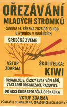 Ořezávání mladých stromků 1